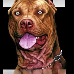 Meet your Posher, Tray